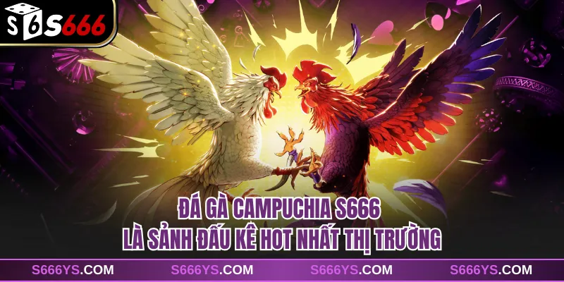 Đá gà Campuchia S666 là sảnh đấu kê hot nhất thị trường