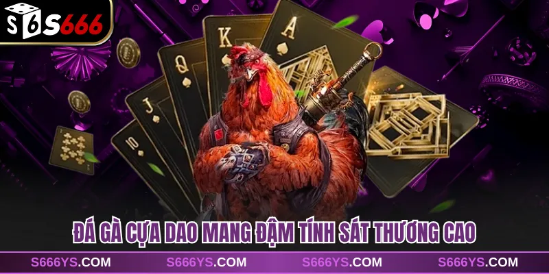 Đá gà cựa dao mang đậm tính sát thương cao