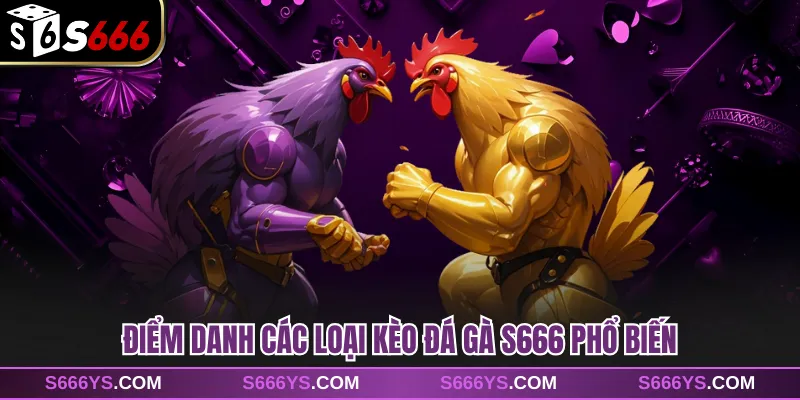 Điểm danh các loại kèo đá gà S666 phổ biến