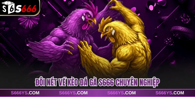 Đôi nét về kèo đá gà S666 chuyên nghiệp