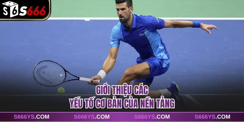 Giới thiệu các yếu tố cơ bản của nền tảng