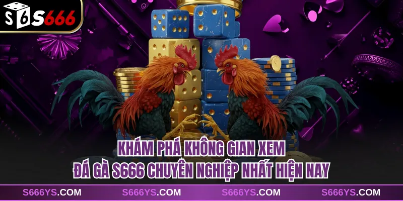 Khám phá không gian xem đá gà S666 chuyên nghiệp nhất hiện nay