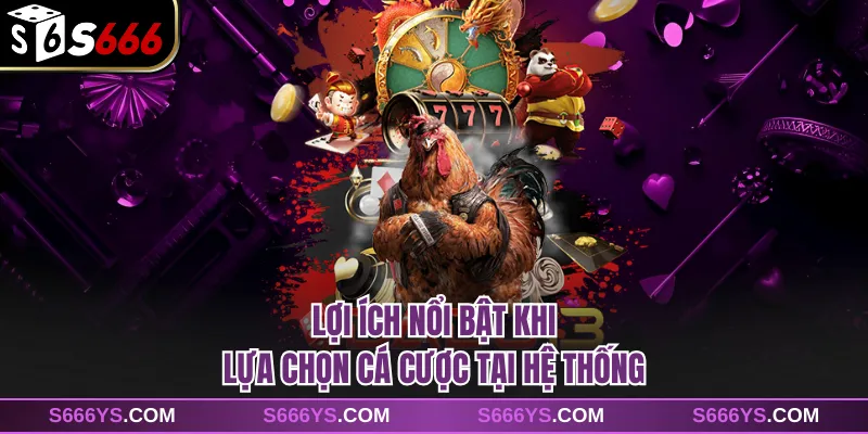 Lợi ích nổi bật khi lựa chọn cá cược tại hệ thống