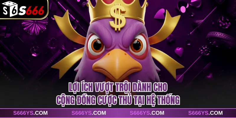 Lợi ích vượt trội dành cho cộng đồng cược thủ tại hệ thống