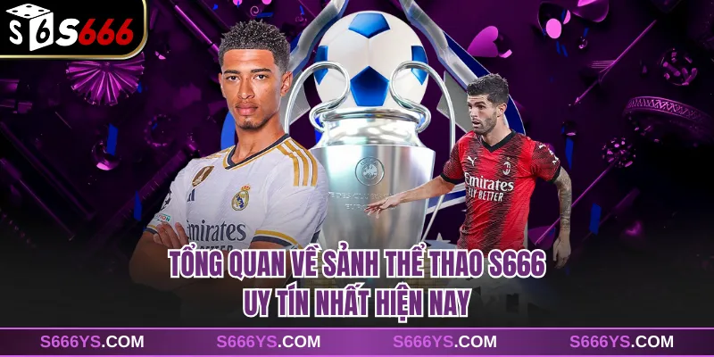 Tổng quan về sảnh thể thao S666 uy tín nhất hiện nay